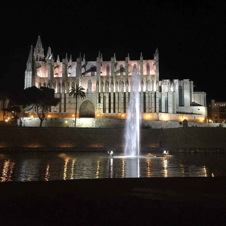 Mallorca palma night cathedral