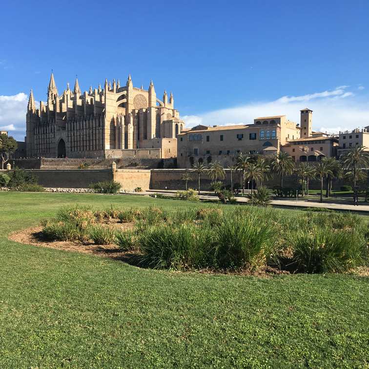 Mallorca palma cathedral